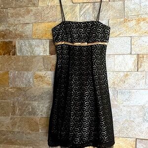Betsy & Adam Elegant Black Lace Dress. Size 4